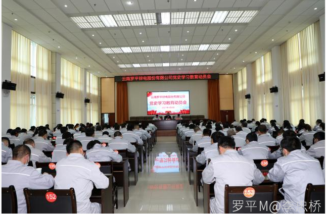 云南罗平九游在线注册有限公司召开党史学习教育动员会